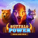 Buffalo Power: Hold and Win